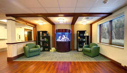 Image of Stratford Pines Nursing And Rehabilitation Center (5)