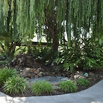 Image of Covenant Living at Mount Miguel Health Services (4)