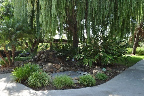 Image of Covenant Living at Mount Miguel Health Services (4)