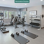 Image of Solista Orem by Cogir (3)