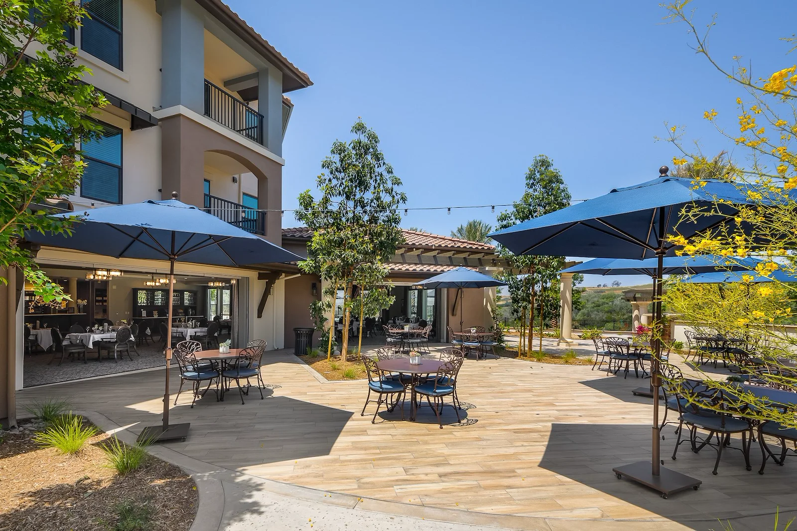 Image of Santianna (3)