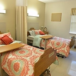 Image of Laurels Of Chatham (10)