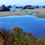 Image of Monarch Gardens Memory Care (4)