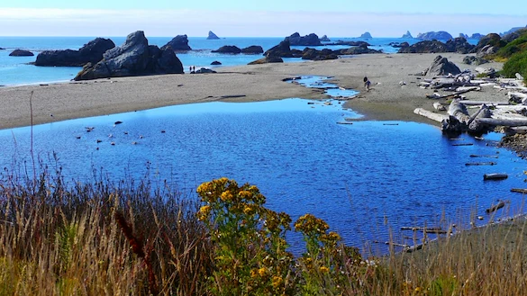 Image of Monarch Gardens Memory Care (4)