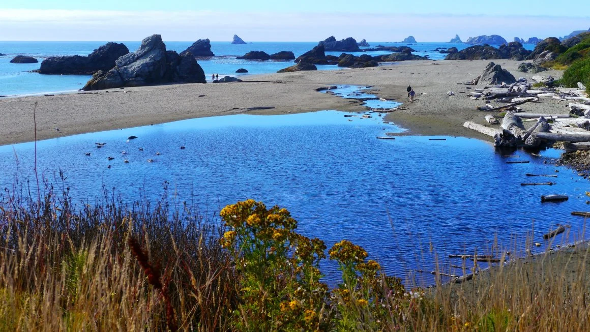 Image of Monarch Gardens Memory Care (4)