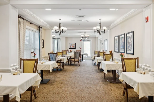 Image of Sunrise of Alexandria (4)