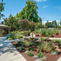 Image of The Terraces Of Los Gatos (4)