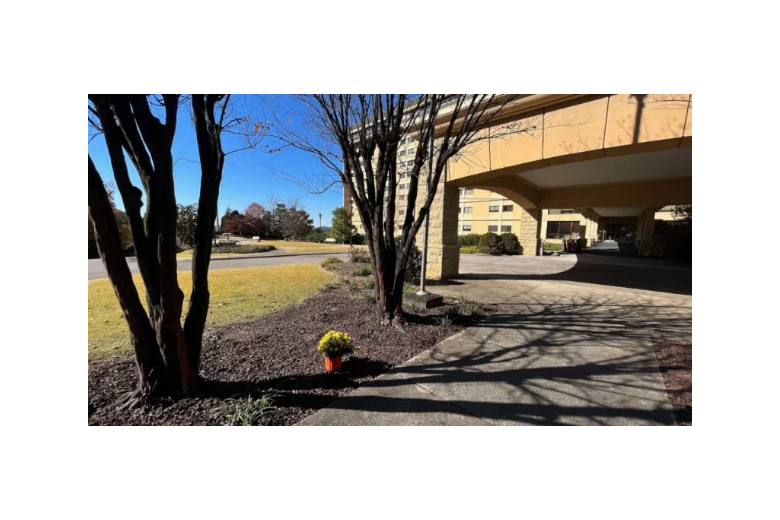 Image of Elite Nursing - Senior Living (1)