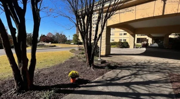 Image of Elite Nursing - Senior Living (1)