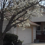 Image of Victoria's Place (1)