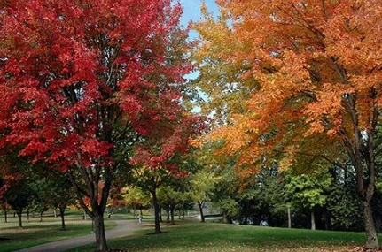 Image of Cascade Manor Health Center (5)