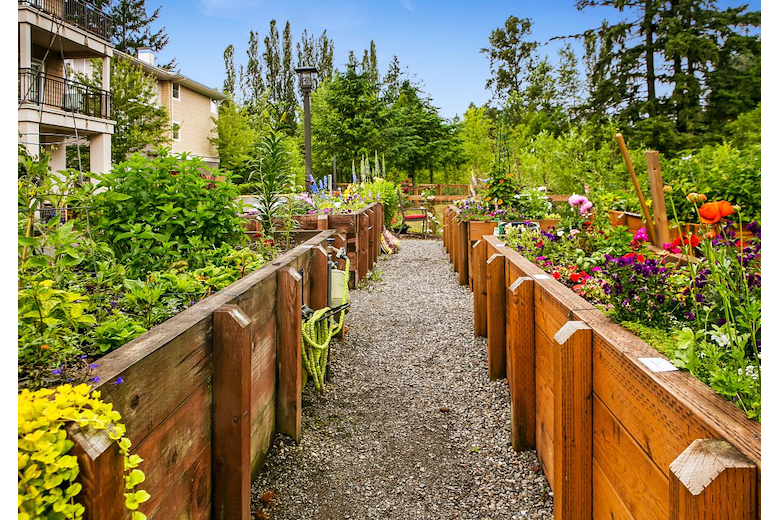 Image of Fairwinds - Redmond (9)