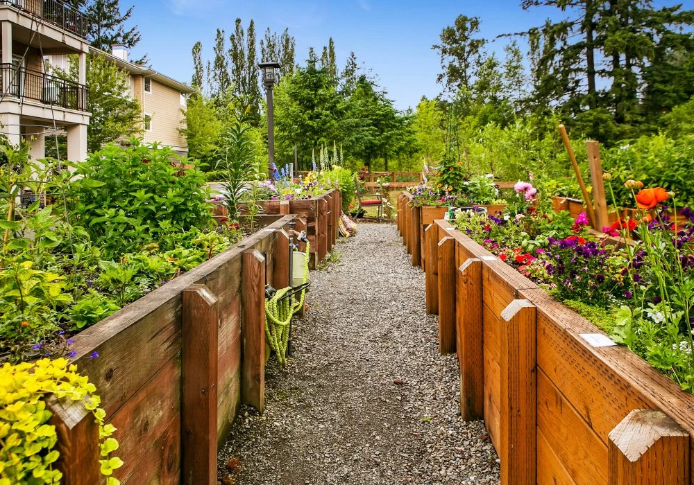 Image of Fairwinds - Redmond (9)