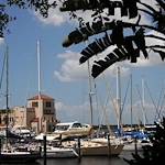 Westminster Bradenton Point Pleasant Neighborhood outdoor space