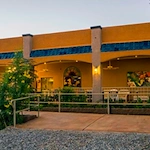 Image of Apple Tree (1)