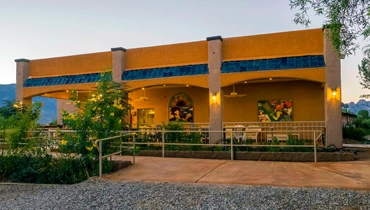 Image of Apple Tree (1)