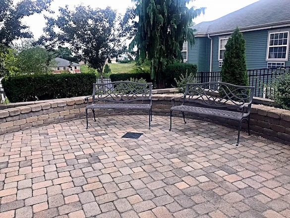 Image of Laurels Of Hamilton (9)