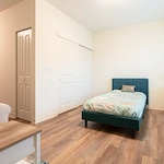 Image of Silver Birch of Mishawaka (7)