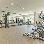 Image of Preserve at Peachtree Shoals (5)