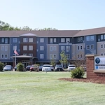 Image of Silver Birch of Hammond (1)