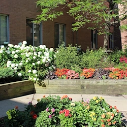 Image of Ecumen St. Benedict’s Community — St. Cloud (5)