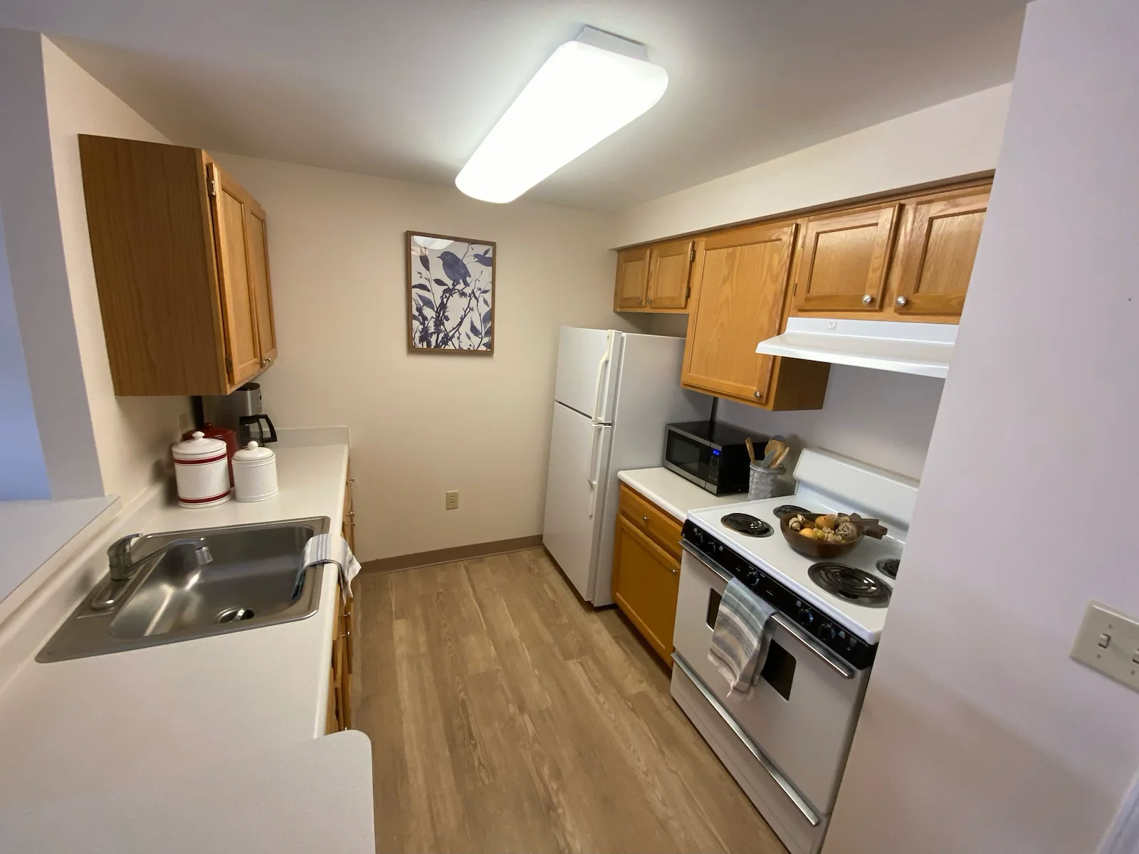 Image of Brentland Woods (4)