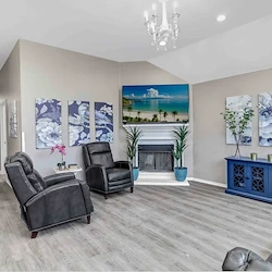 Image of Silver Leaf Frisco (4)