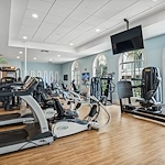 Image of The Carlisle Palm Beach (6)