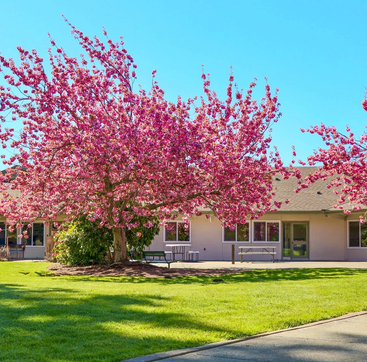 Image of Avalon Healthcare – Bellingham (2)