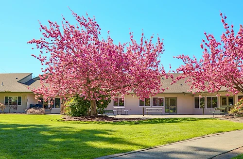 Image of Avalon Healthcare – Bellingham (2)