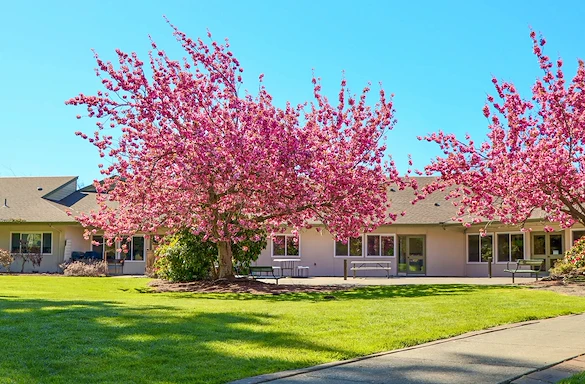 Image of Avalon Healthcare – Bellingham (2)