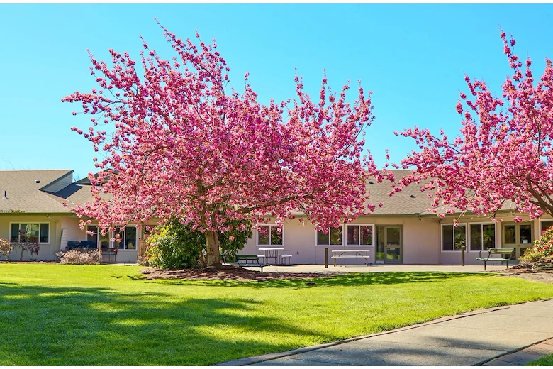 Image of Avalon Healthcare – Bellingham (2)