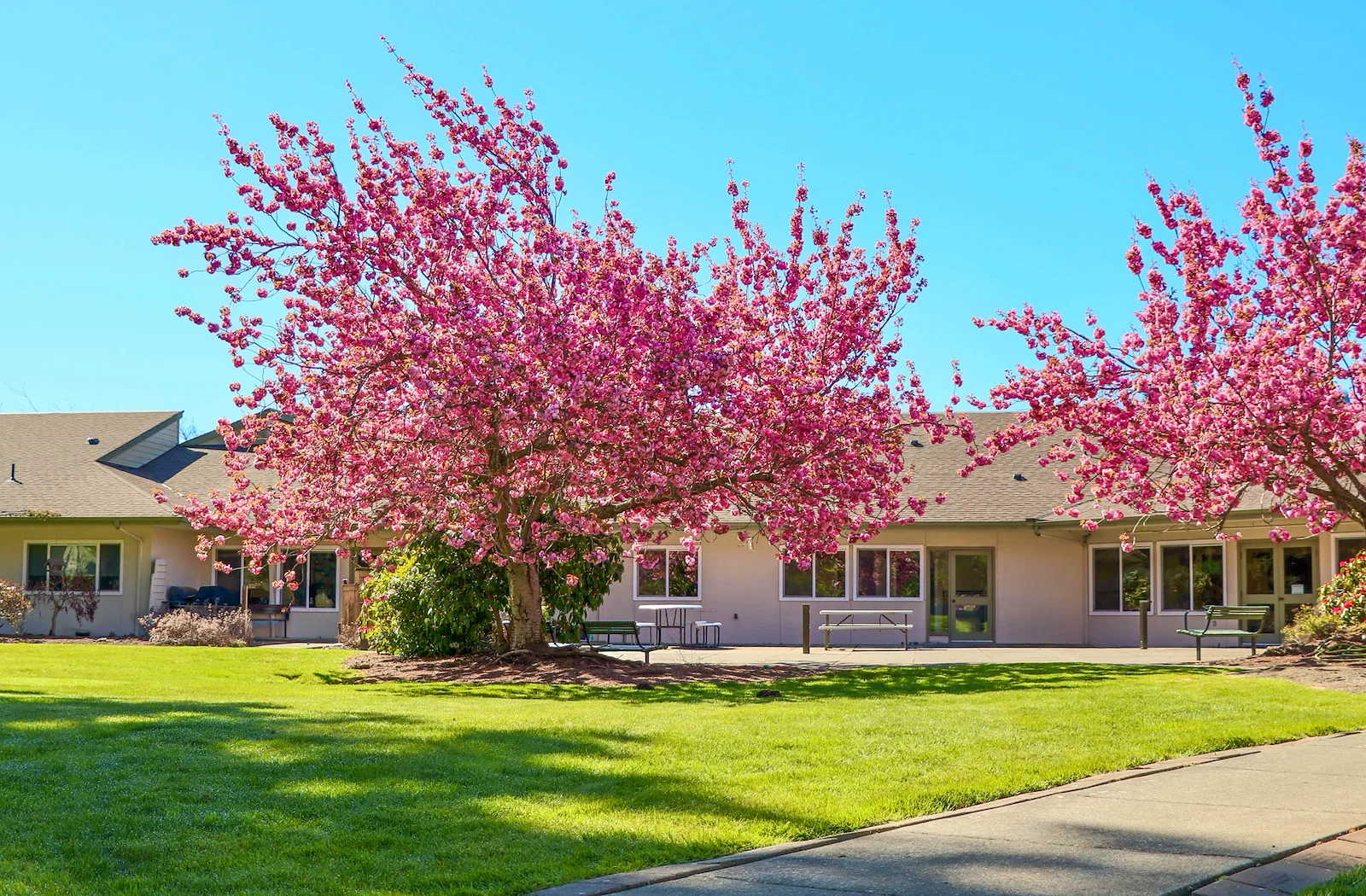 Image of Avalon Healthcare – Bellingham (2)