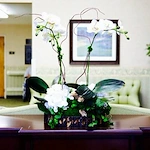 Image of Castle Manor Nursing & Rehabilitation (6)