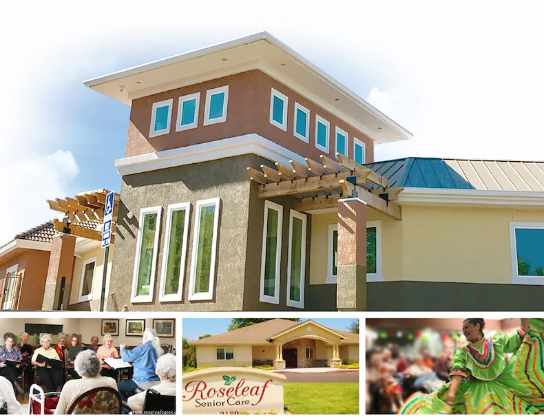 Image of Roseleaf Oroville (1)