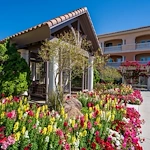 Image of The Terraces Of Phoenix (4)