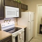 Image of Columbus Spring Leaf (2)