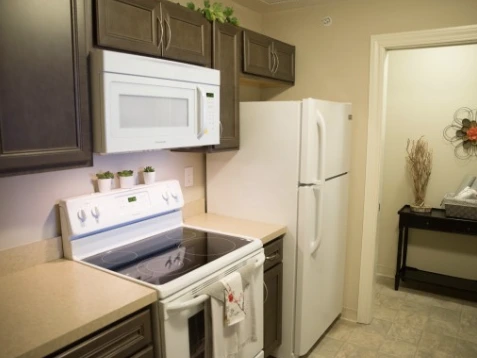 Image of Columbus Spring Leaf (2)