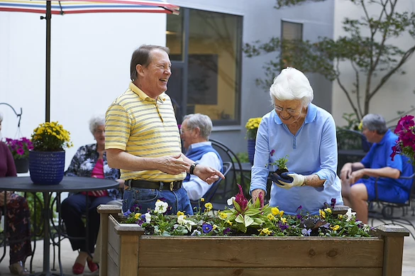 Image of Senior Star at Burgundy Place (3)