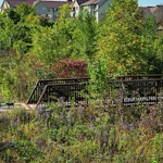 Image of Tallgrass Creek, Inc (6)