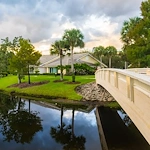Image of Sandhill Cove (8)