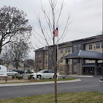 Image of Silver Birch of Terre Haute (2)