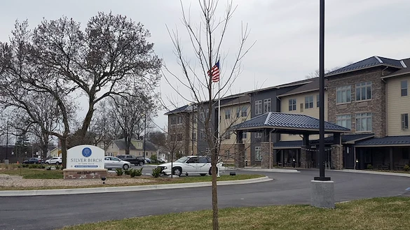 Image of Silver Birch of Terre Haute (2)