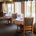 Image of WinterGreen (9)