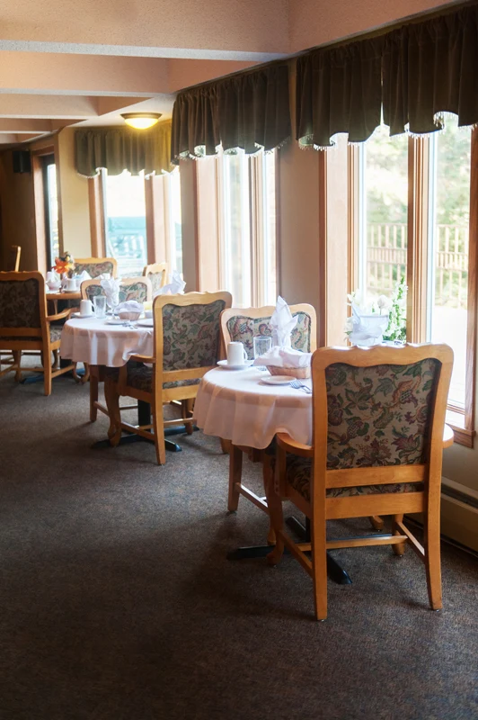 Image of WinterGreen (9)