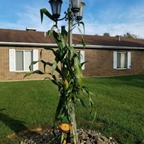Image of Snyder Memorial Health Care Ce (4)