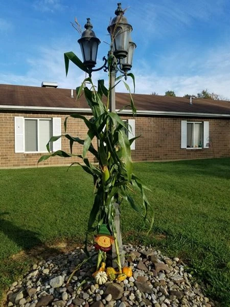 Image of Lecom At Snyder Memorial (4)