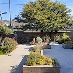 Image of St. Francis Nursing Home (5)