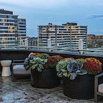 Image of Trulee Evanston (2)