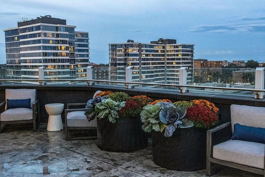 Image of Trulee Evanston (2)